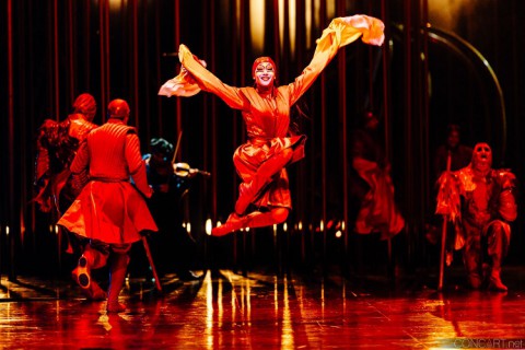 Il Cirque du Soleil fa sognare Bologna con “Varekai”