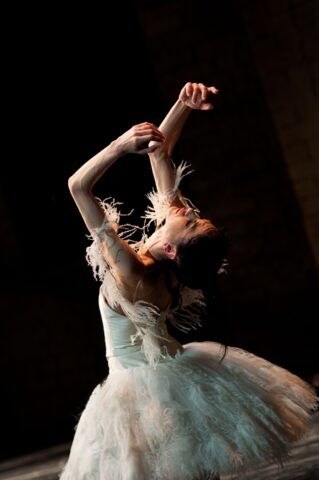 “Illusions – Like Swan Lake"