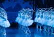 “Illusions – Like Swan Lake"