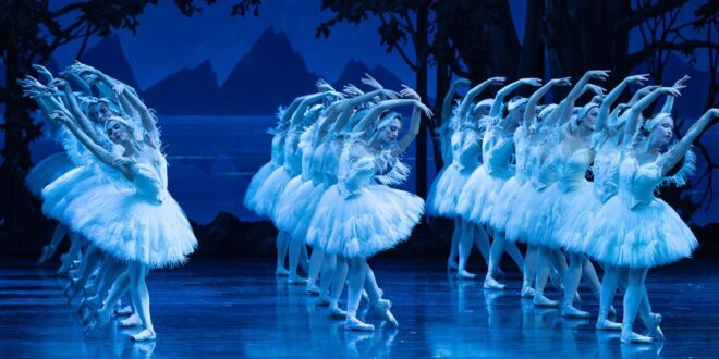 “Illusions – Like Swan Lake"