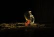 Butoh