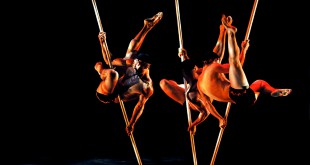 35 anni di Momix in un unico strabiliante show!