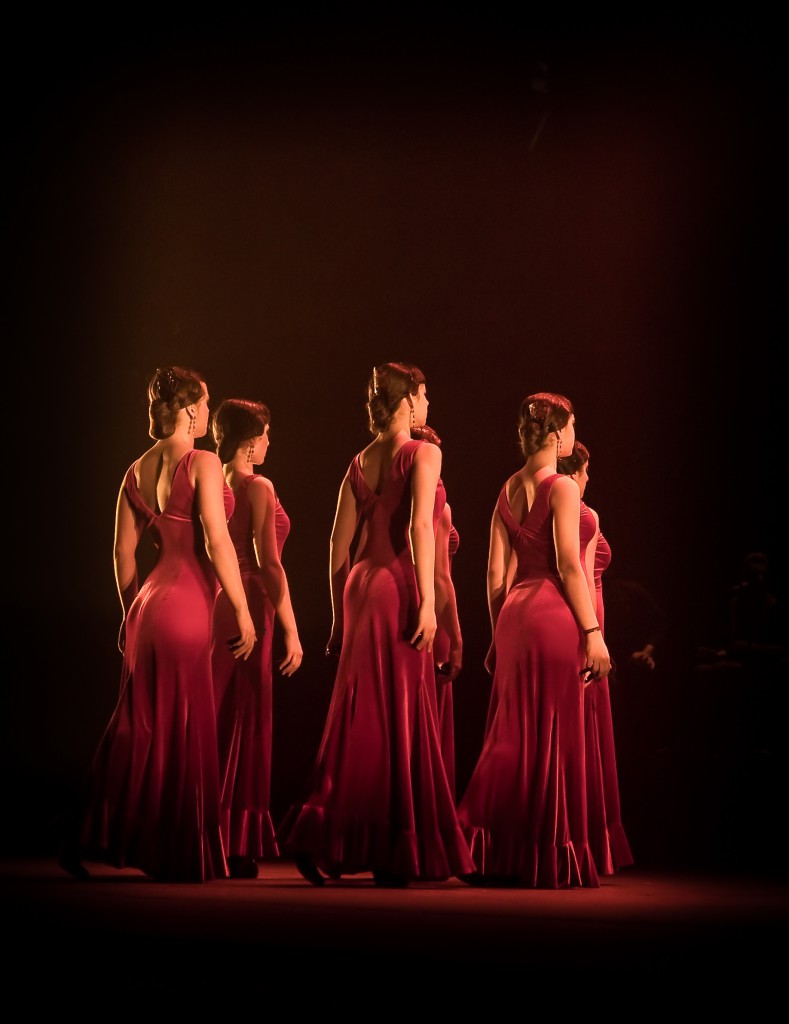 flamenco 3